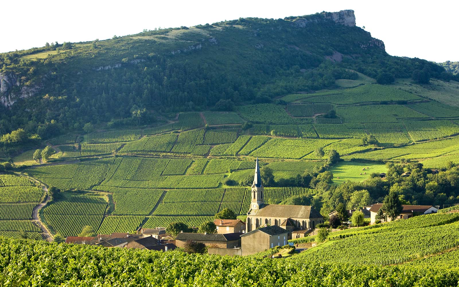 Bourgogne