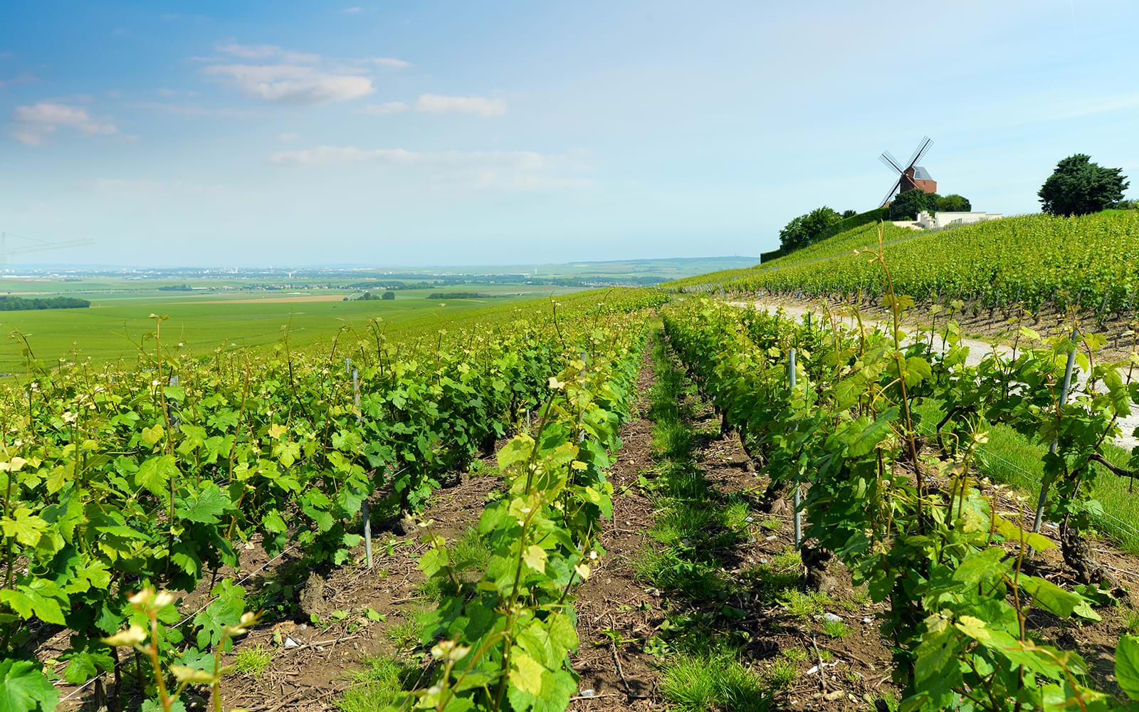 Champagne Ardennes