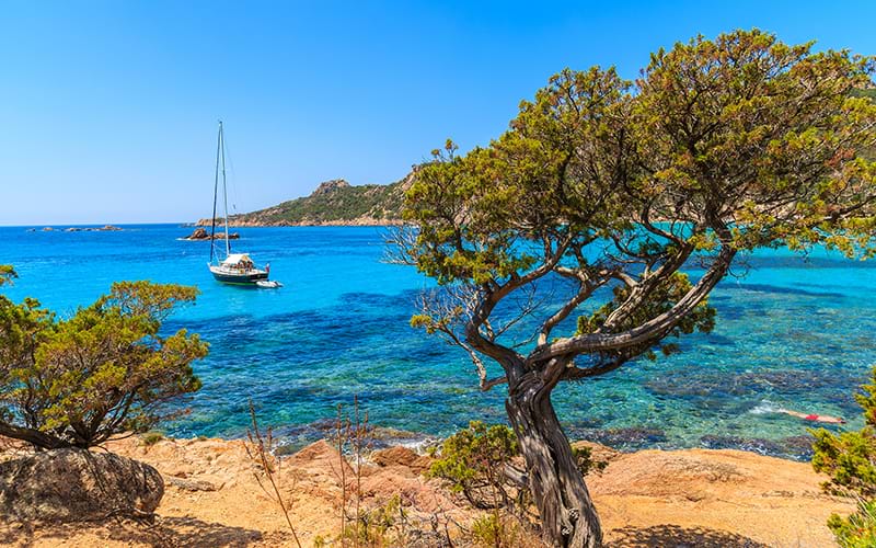 Corse